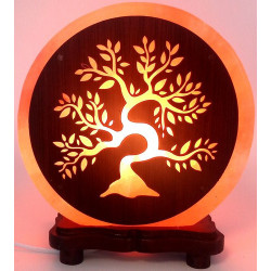 Lampe de Sel Himalaya Arbre de Vie 5KG