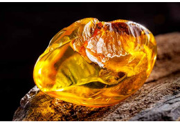 Ambre